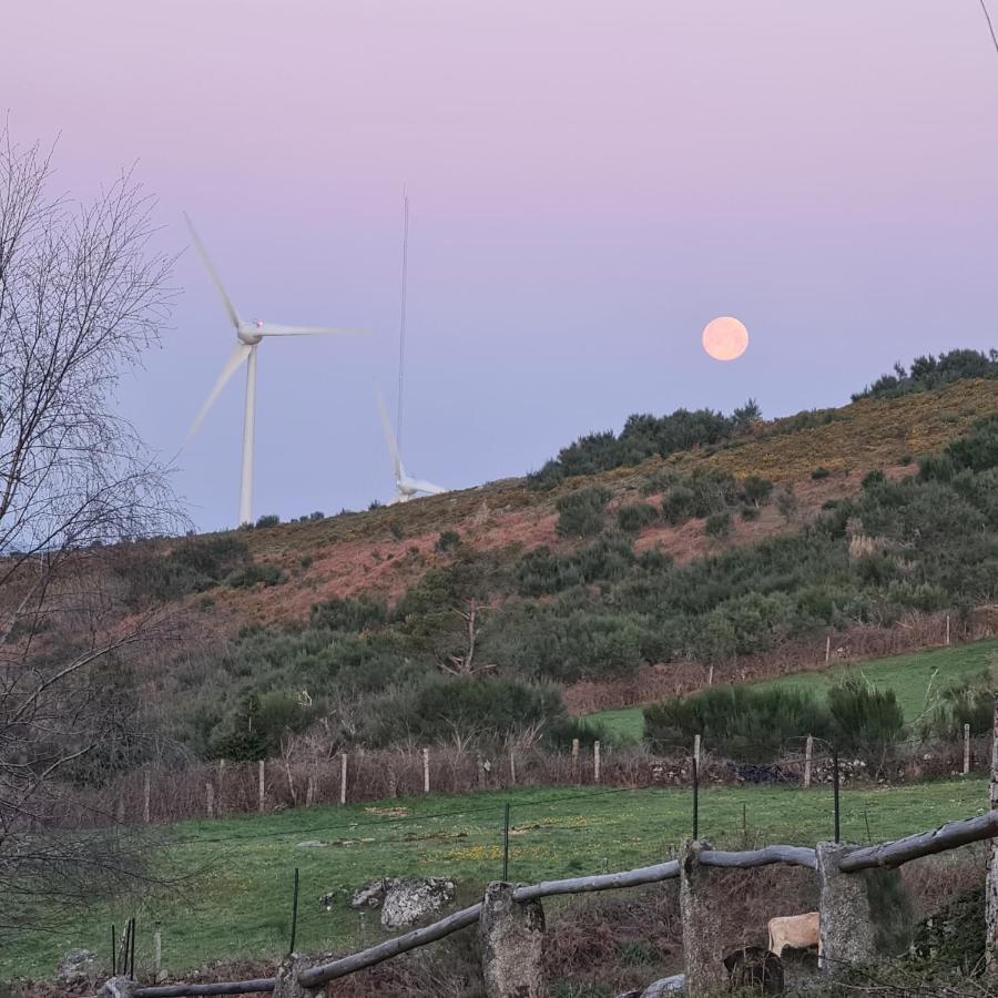 Cardenha Da Bessada Villa Branda de Santo António Dış mekan fotoğraf