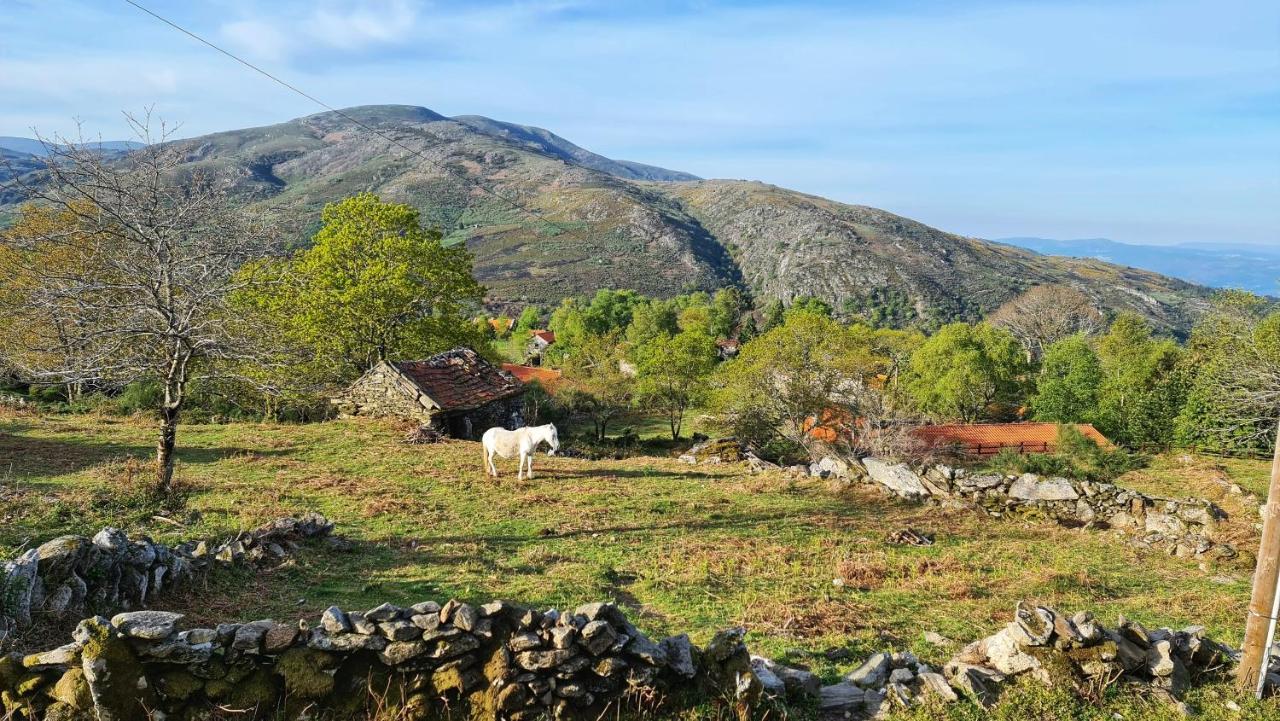 Cardenha Da Bessada Villa Branda de Santo António Dış mekan fotoğraf