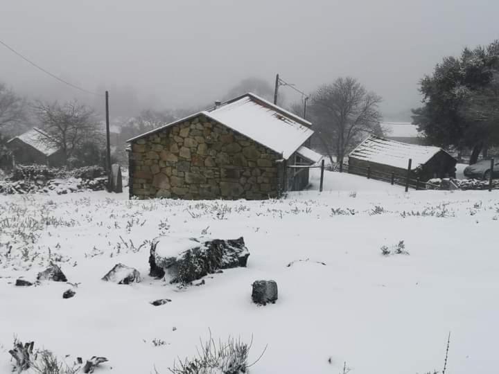 Cardenha Da Bessada Villa Branda de Santo António Dış mekan fotoğraf