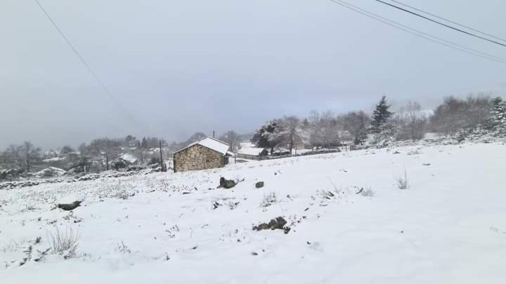 Cardenha Da Bessada Villa Branda de Santo António Dış mekan fotoğraf